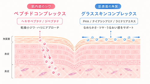 P-Tioxセラムの「ペプチドコンプレックス」と「グラススキンコンプレックス」