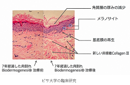 感覚的なケアではなく、客観的なデータに裏付けられた治療